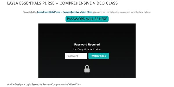 Enter your password and watch - How to Watch your Video Class - Andrie Designs